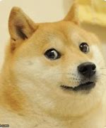 Image result for Doge with Meme Glasses