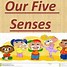 Image result for Our Five Senses