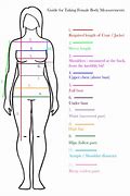 Image result for Full Body Measurement Chart