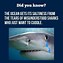 Image result for Funny Shark Sayings