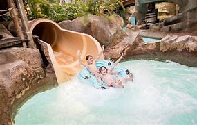 Image result for Alton Towers Swimming Pool