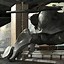 Image result for Futuristic Mecha