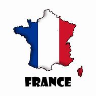 Image result for France Flag Case for iPhone