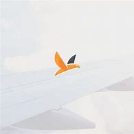 Image result for Still Fly Logo