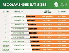 Image result for Cricket Bat Size 6