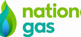Image result for National Gas Transmission Logo
