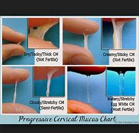 Image result for Cervical Mucus Colors