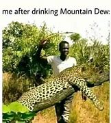 Image result for Kermit Drinking Mountain Dew
