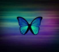 Image result for Most Beautiful Butterfly Desktop Wallpapers