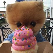 Image result for Jiff Poms Girlfriend