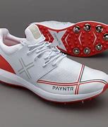 Image result for Cricket Shoes without Spikes