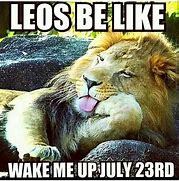 Image result for Leo Lion Meme