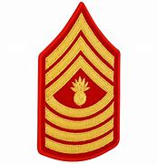 Image result for USMC MGySgt Chevron