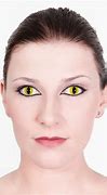 Image result for Cat Calico Eye Contact Lenses