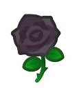 Image result for Rose Glold iPhone