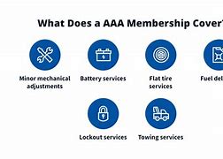 Image result for Types of AAA Membership
