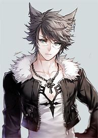 Image result for Cute Anime Guys Wolf