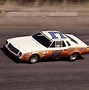 Image result for Talladega Race People