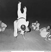 Image result for Korean Judo
