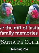 Image result for Santa Fe College Teaching Zoo