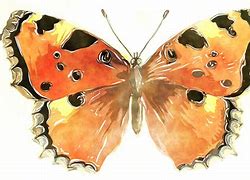 Image result for Butterfly Eyeglasses for Women