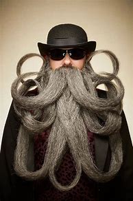 Image result for Funny Gray Beard