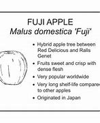 Image result for Fancy Fuji Apple