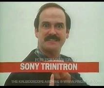 Image result for Sony Wega Trinitron TV