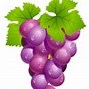 Image result for Grape Cluster Clip Art