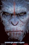 Image result for Planet of Thr Apes Meme