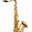 Image result for Saxophone Instrument