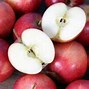 Image result for Gala Apple Variety