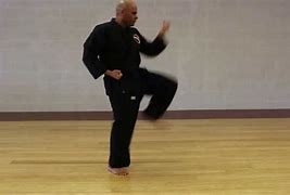 Image result for Kenpo Karate Forms