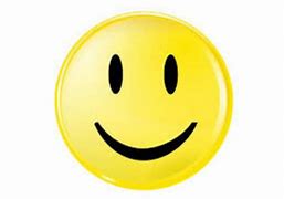 Image result for Sarcastic Happy Face