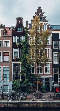 Image result for Best Area to Stay in Amsterdam