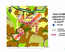 Image result for CBB Log