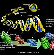 Image result for Genome Biology