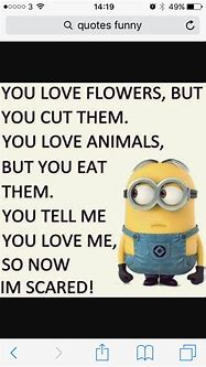 Image result for Mean Minion Quotes