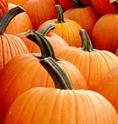 Image result for apple hill pumpkins patches