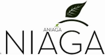 Image result for aniaga