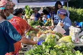 Image result for Local Farmers