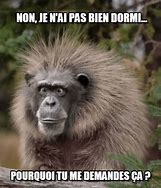 Image result for French Word Meme