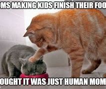 Image result for Human Cat Mom Meme