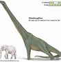 Image result for World's Biggest Dinosaur