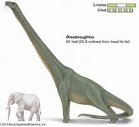 Image result for What Was the Largest Dinosaur
