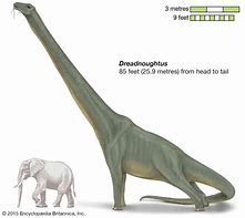 Image result for Largest Sauropod Dinosaur