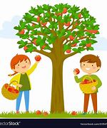 Image result for Free Stock Image Picking Fruit