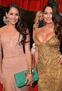 Image result for Brie and Nikki Bella