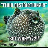 Image result for Fluid Restriction Memes