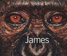 Image result for James and Other Apes